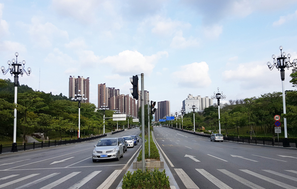 廣州市經濟開發區中華燈案例